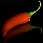 Il peperoncino stimola i tumori della pelle