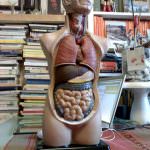 Il corpo, questo sconosciuto