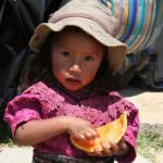 "G14" degli agricoltori a Roma: "Più agricoltura per sfamare il mondo"