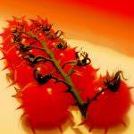 Uno schiaffo dal piatto? E' in arrivo "Food, inc." di Robert Kenner