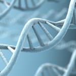 La terapia genica e la riprogrammazione cellulare permettono di creare cellule sane