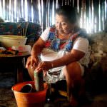 La medicina Tradizionale: un complesso di saperi e competenze