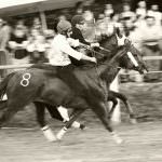 Palio di Feltre 2009