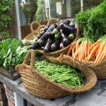 Concorso per creare il logo biologico dell'UE