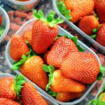 Le proposte innovative di Macfrut 2011