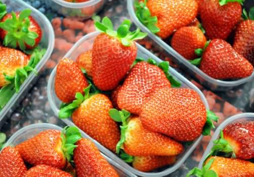 Il CSO si aggiudica il nuovo progetto europeo per promuovere l’ortofrutta nel mondo
