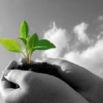 Osservatorio permanente sui consumi SANA-GPF