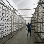 Made in Italy: Federmacchine punta alla Cina