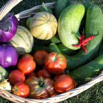 Il Lombardia aumentano le aziende agricole con vendita diretta