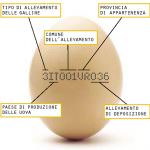 Coldiretti: Le uova italiane sono garantite dall'etichetta