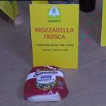 Made in Italy, Reguzzoni (LN): tutelare prodotti nazionali ed europei dalla concorrenza sleale