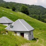 Agricoltura di montagna: +3% occupati, fatturato di tre miliardi