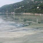 Mediterraneo a rischio: E' allarme per petrolio, reflui zootecnici e buste di plastica