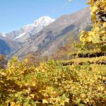 "Quale Governance per i territori montani?"