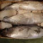 Pesce: se contaminato da mercurio fa male ai bambini