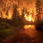 Sabato 4 e Domenica 5 luglio torna "Non scherzate col fuoco"