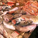 Eruzione in Islanda: Dimezzato l'export di pesce, e cresce l'offerta interna