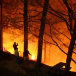 Livorno: Coldiretti aderisce alla settima edizione di "Non scherzate con il fuoco" promossa in collaborazione con Legambiente