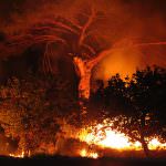 Incendi: agricoltori ranger contro gli incendi