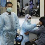 Influenza suina, rilevato virus resistente al Tamiflu