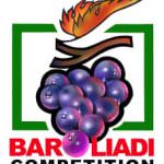 Baroliadi: i giochi senza frontiere dei paesi del Barolo