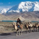 Sta bene il ricercatore Cnr coinvolto negli scontri nello Xinjiang