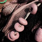 Pesca: Importante incontro a Bruxelles