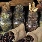 OltreNATURA, 2° Rassegna di eventi naturalistico-culturali al Giardino Alpino di Pietra Corva