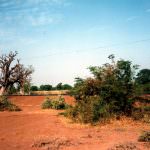 Il Sahel a rischio crisi alimentare