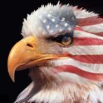 Il G8 chiude i battenti, Obama: L'Aquila nel cuore