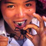 La mosca al naso, ed anche nel piatto. Dall' Oriente, ecco l'alimentazione a base d' insetti