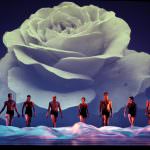 Bothanica in Cittadella: la passione per la natura secondo i Momix