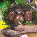 Suinicoltura in crisi: Arriva un aiuto da Bruxelles