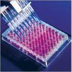 Influenza A, i vaccini non bastano. Il Piemonte cambia il piano antinfluenzale