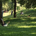 Alessandria: frutta fresca grazie al parco "verde"
