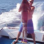 California, l'invasione dei calamari: grossi, cattivi e carnivori. Già alcuni sub attaccati