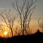 Emilia Romagna: Valli bolognesi, nasce "Appennino slow"