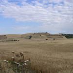 Agricoltura, le richieste della Regione Basilicata al Ministero