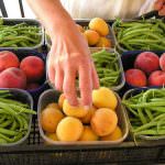 Etichettatura - Bresso e Taricco incontrano i manifestanti al presidio Coldiretti