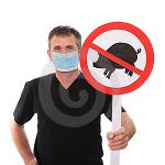 Influenza suina: ecco le informazioni utili