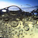 Veneto: Treviso prosegue la politica di sviluppo della zona del Prosecco