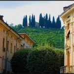 Unesco: Le colline del Prosecco candidate "Patrimonio dell'Umanità"