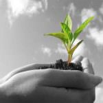 Bisogna promuovere una cultura etica contro ogni sfruttamento