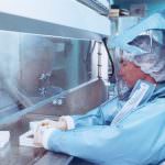 Germania, ecco la fortezza della scienza dove si combatte l' influenza suina