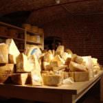 Latte e formaggio contro la caduta dei denti