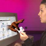 La truffa corre sul web. Attenti alle pubblicità su FaceBook di Acai Berry e Free Life Cleance