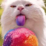 Il calcio migliora il sapore dei cibi