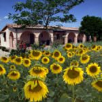 Ponte del 2 giugno: In vacanza solo il 12% degli italiani