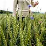 Ecologia ed alimentazione: dalla Svezia il cibo amico del pianeta