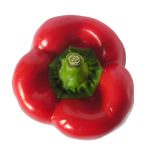 Dall' Inghilterra arriva Ace, il peperone OGM tutto vitamine ed antiossidanti